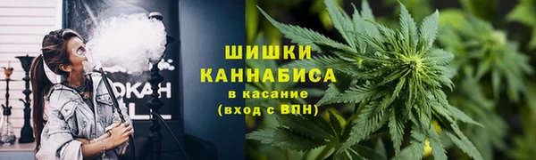 сатива Баксан