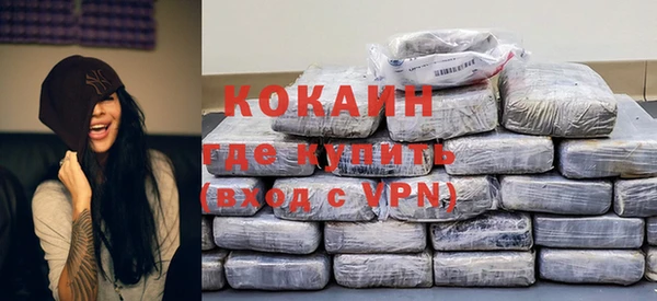 дживик Пестово