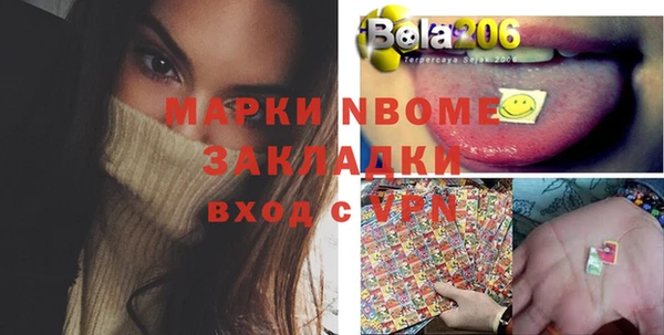 сатива Баксан